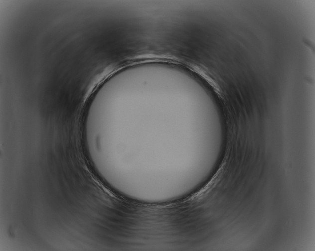 X0000097651357200802290836