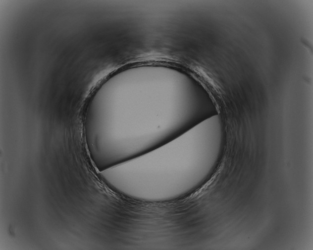 X0000097651358200802290836