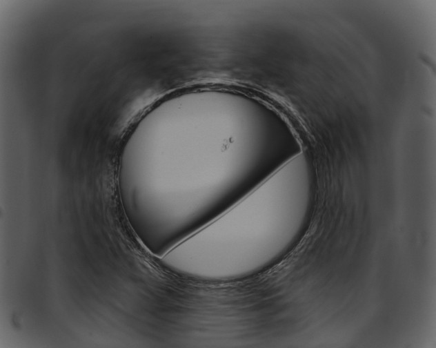 X0000097651359200802290836