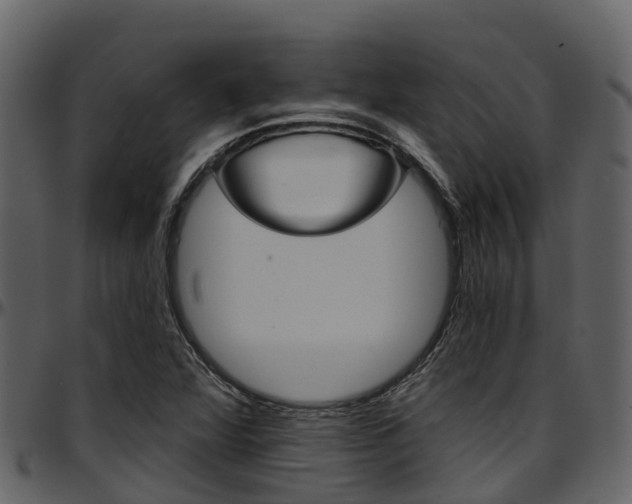 X0000097651360200802290836