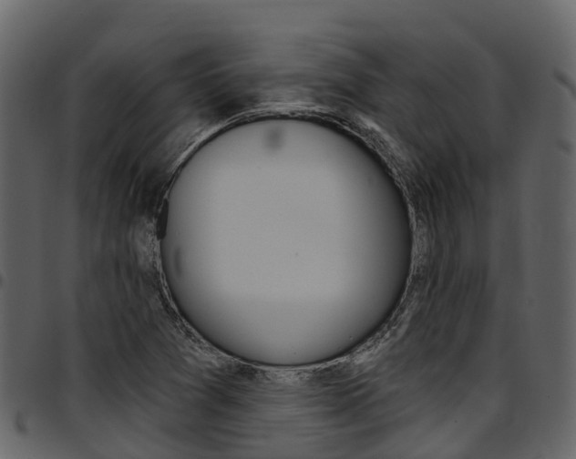 X0000097651361200802290836