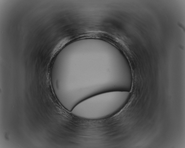 X0000097651362200802290836