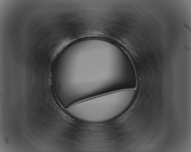 X0000097651363200802290836