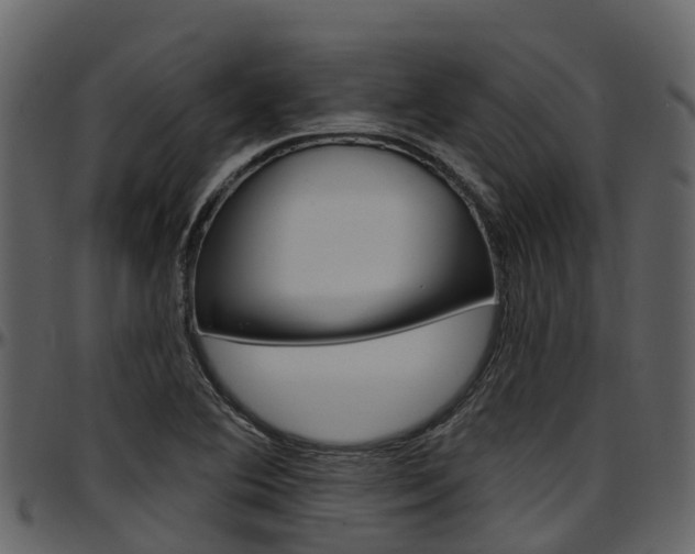 X0000097651364200802290836
