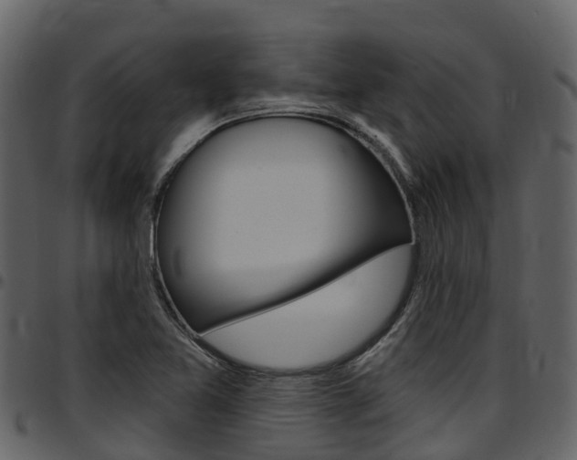 X0000097651365200802290836