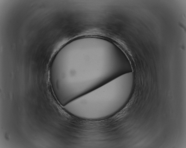 X0000097651366200802290836