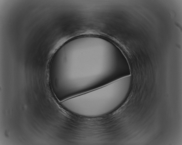 X0000097651367200802290836
