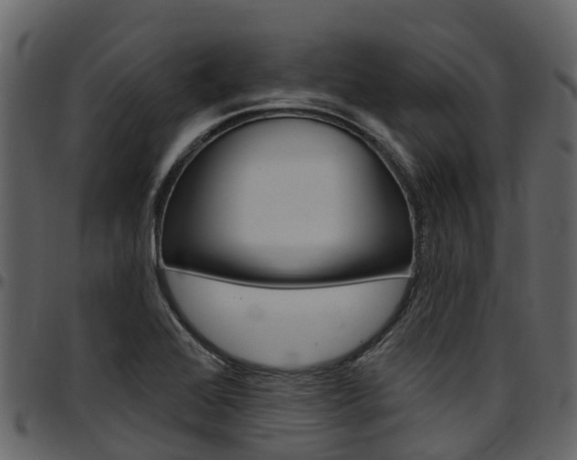 X0000097651368200802290836