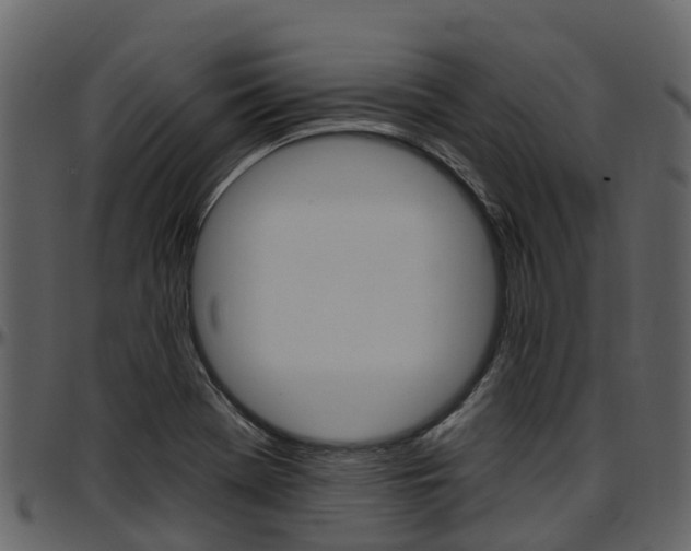 X0000097651369200802290836