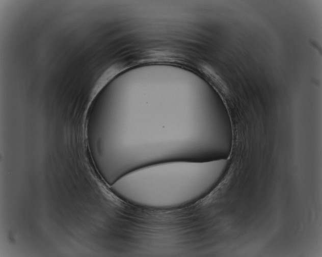 X0000097651370200802290836