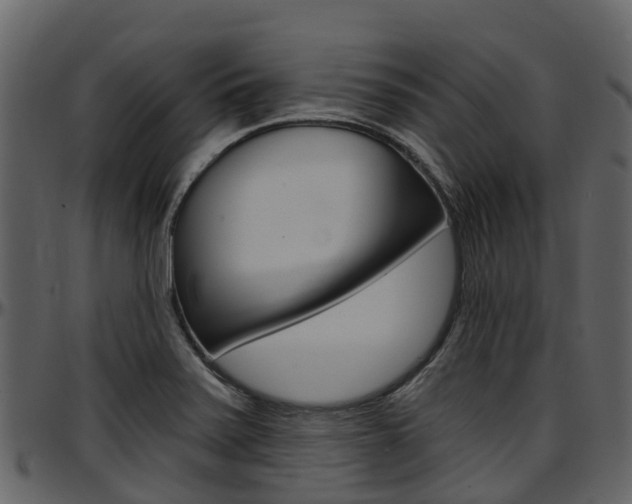 X0000097651371200802290836