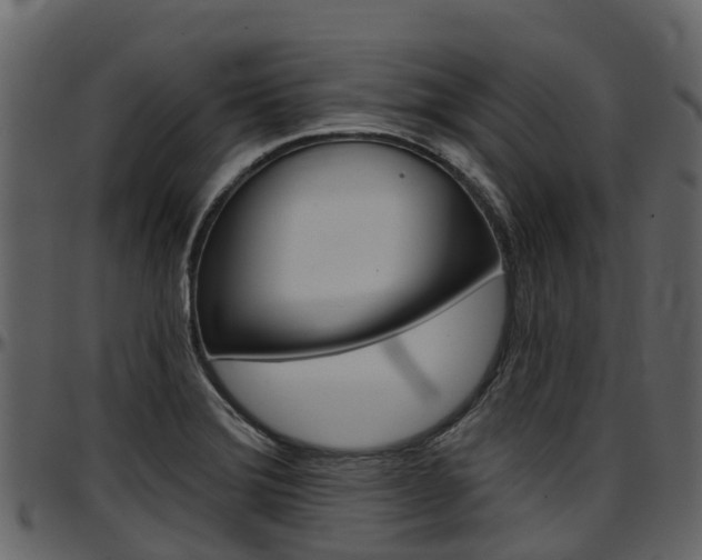 X0000097651372200802290836