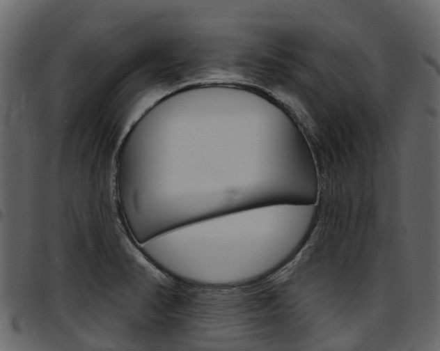 X0000097651374200802290836