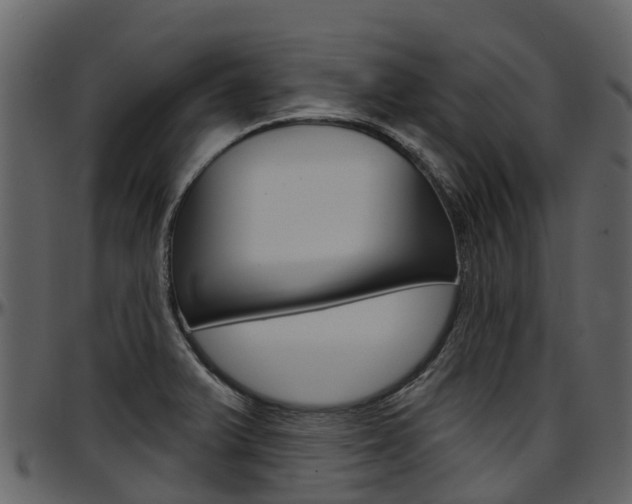 X0000097651375200802290836