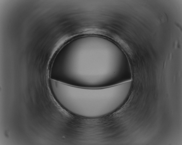 X0000097651376200802290836