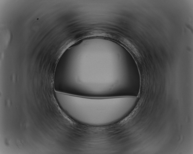 X0000097651377200802290836