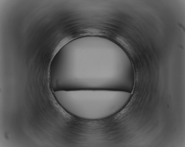 X0000097651378200802290836