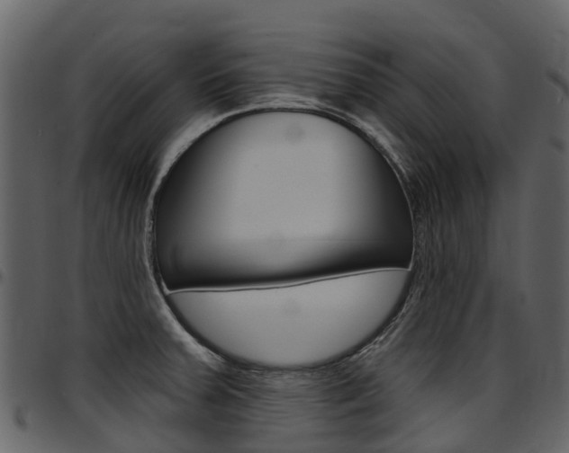 X0000097651379200802290836