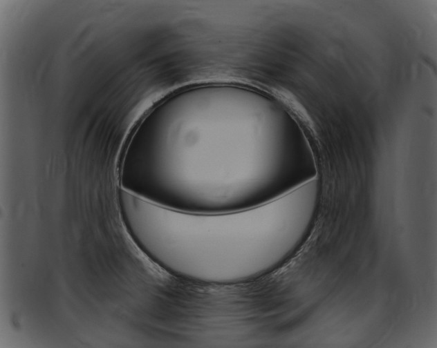 X0000097651380200802290836