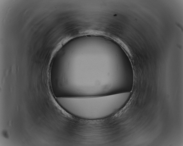 X0000097651381200802290836