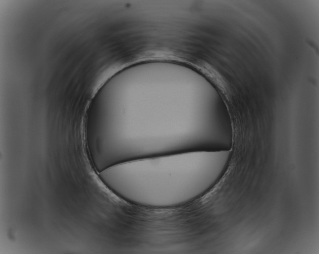 X0000097651382200802290836