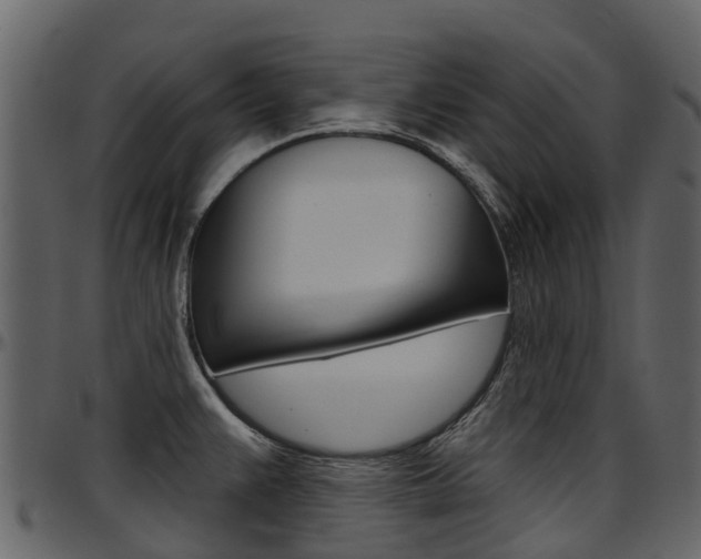 X0000097651383200802290836