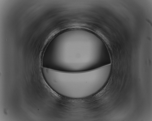 X0000097651384200802290836