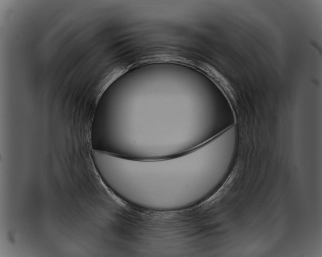 X0000097651385200802290836