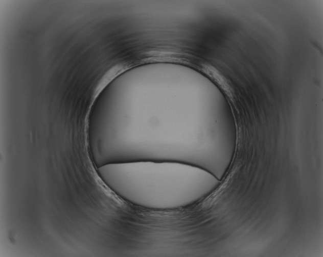 X0000097651386200802290836