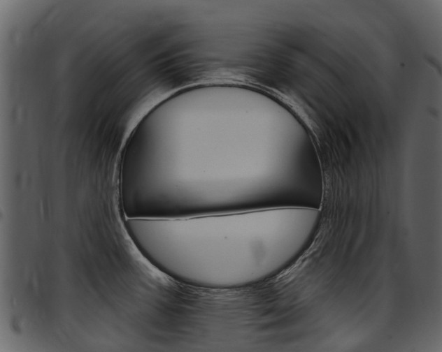 X0000097651387200802290836