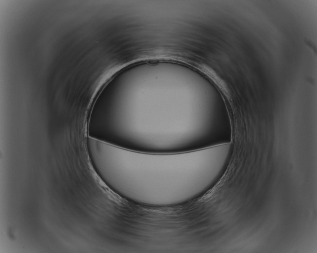 X0000097651388200802290836