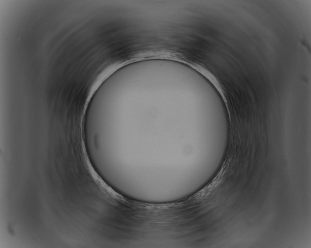 X0000097651389200802290836