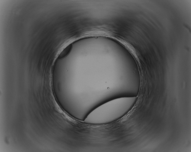 X0000097651390200802290836