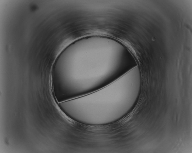X0000097651391200802290836