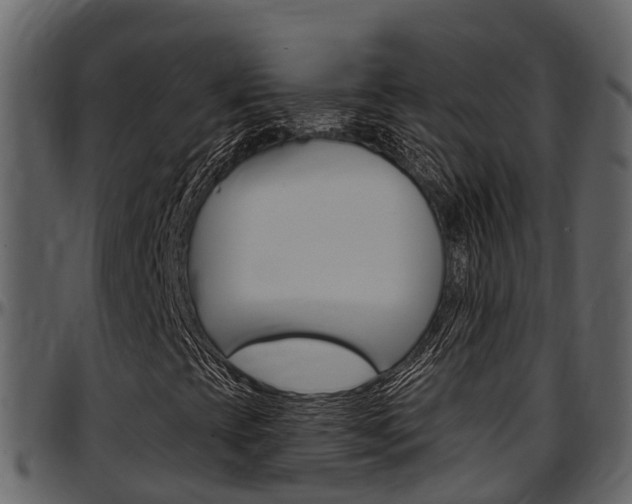 X0000097651393200802290835