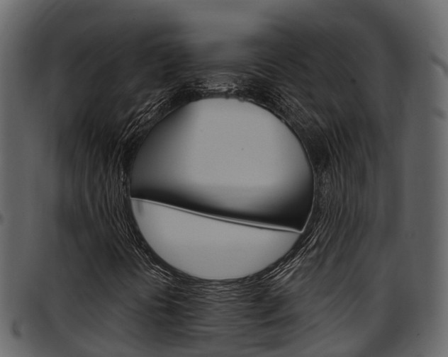 X0000097651394200802290835