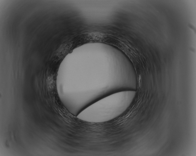 X0000097651395200802290835