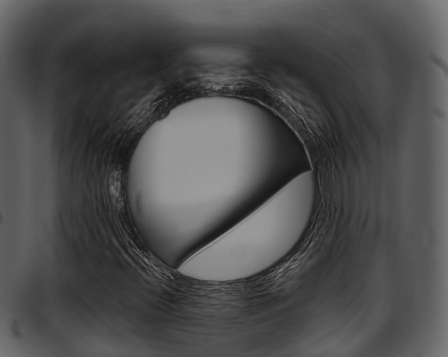 X0000097651396200802290835