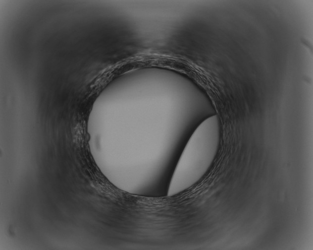 X0000097651397200802290835