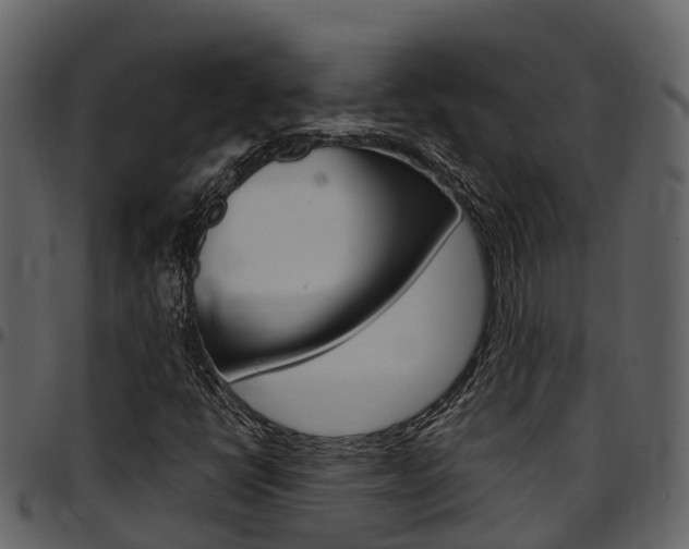 X0000097651398200802290835