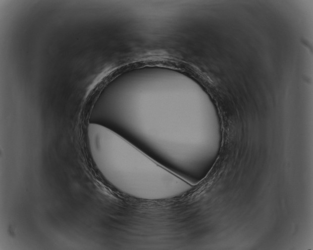 X0000097651400200802290835
