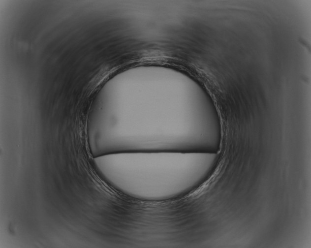 X0000097651401200802290835