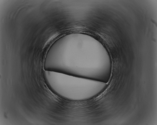 X0000097651402200802290835