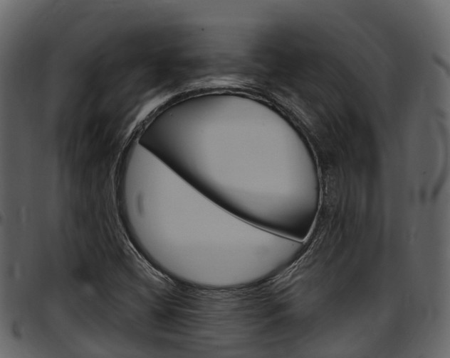 X0000097651404200802290835