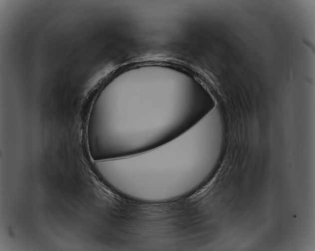 X0000097651406200802290835