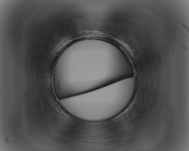 X0000097651407200802290835
