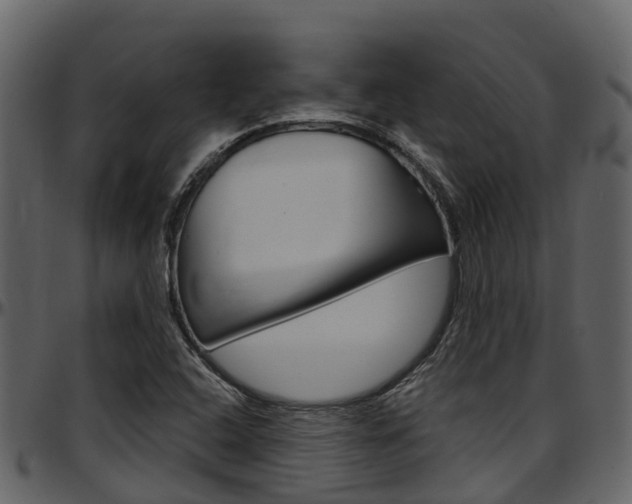 X0000097651408200802290835