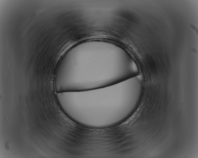 X0000097651409200802290835