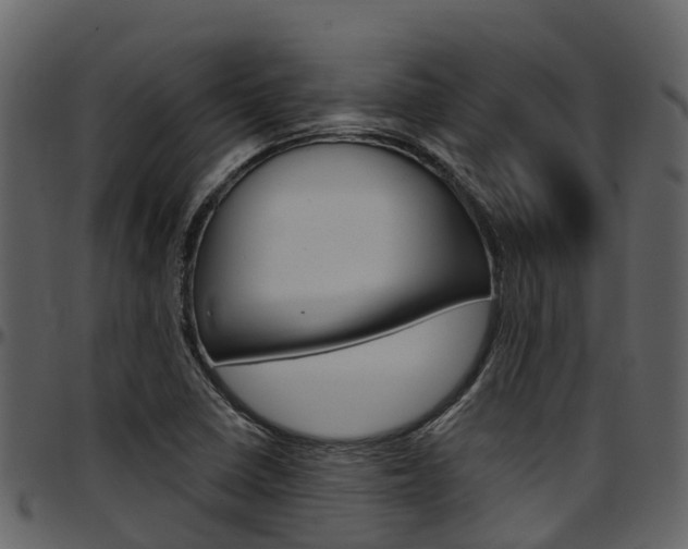 X0000097651410200802290835