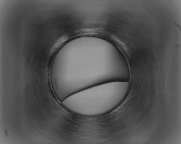 X0000097651411200802290835